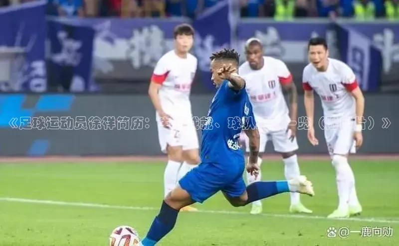 BB贝博体彩平台登录入口哇咔哇咔文化《足球运动员徐祥简历：生涯成就、球队经历一览（附图片）》