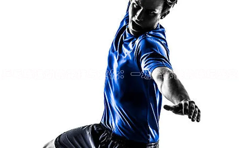 BB·贝博狼堡中海达乒乓球运动的竞技与文化：一场全球性的球坛盛宴