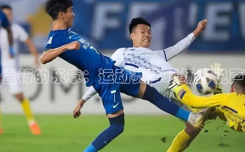 音符的乐章：运动赛事现场解说声