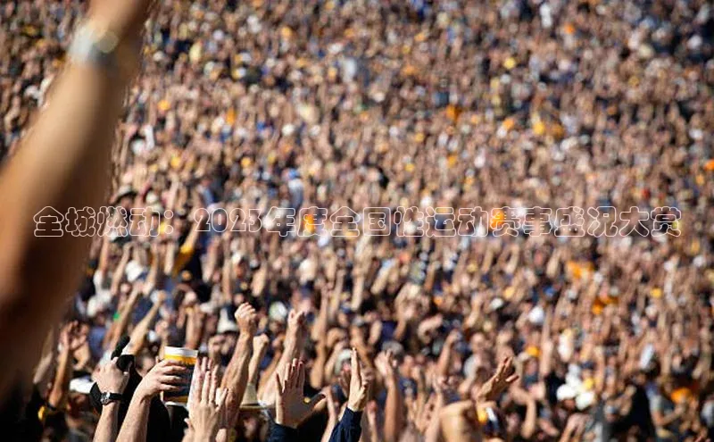 全城燃动：2023年度全国性运动赛事盛况大赏