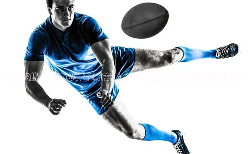 泉城在线：东南赛事的新篇章——泉州线上运动会的精彩瞬间