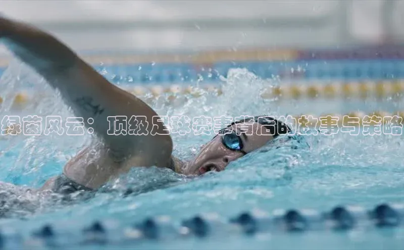 绿茵风云：顶级足球赛事背后的故事与策略