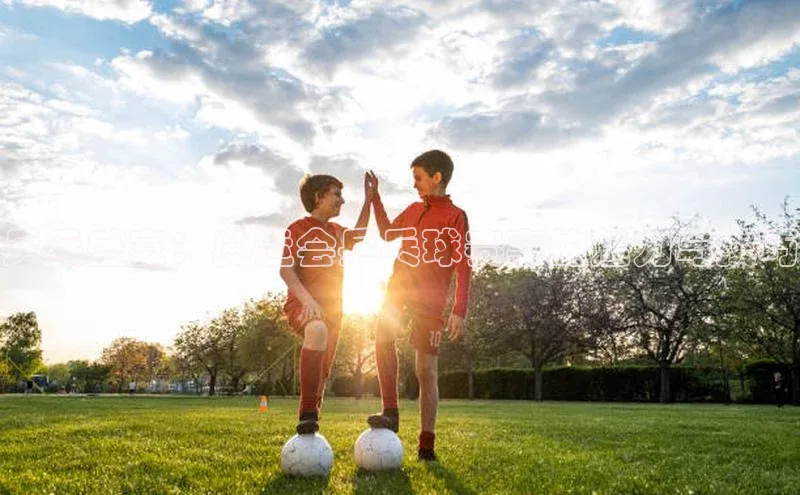 乒乓盛宴：奥运会乒乓球赛事的魅力与技巧