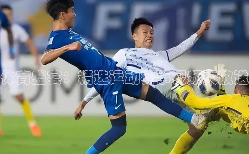 体育盛宴：精选运动赛事视频大放送