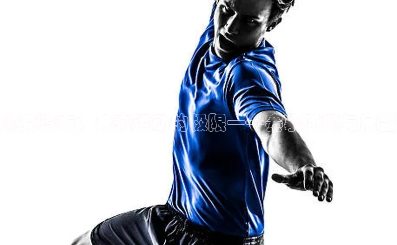 领克汽车：未来运动的极限——赛事回顾与展望