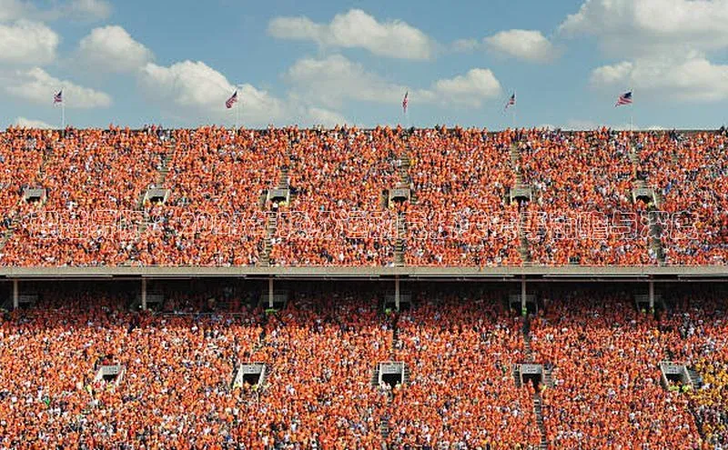 超越界限：2023年顶级运动竞技类赛事前瞻与深度