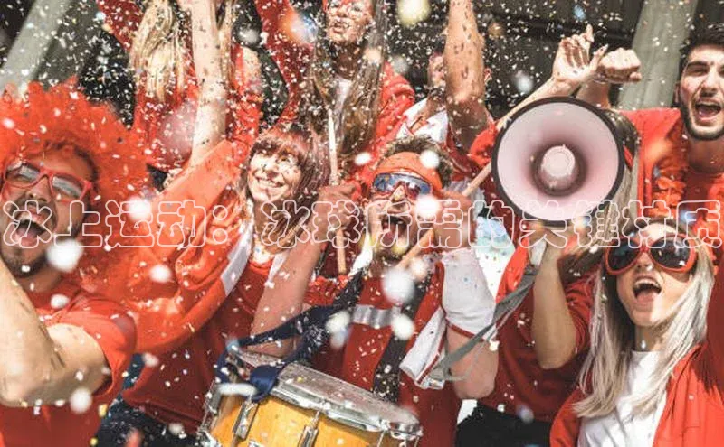 冰上运动：冰球所需的关键材质