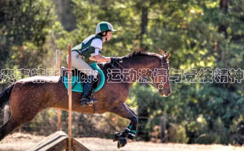 贝博官网下载app