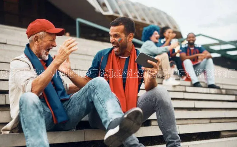 贝博APP体育网页