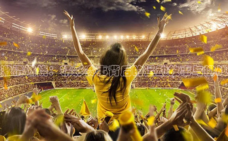 贝博bb平台体育网页版